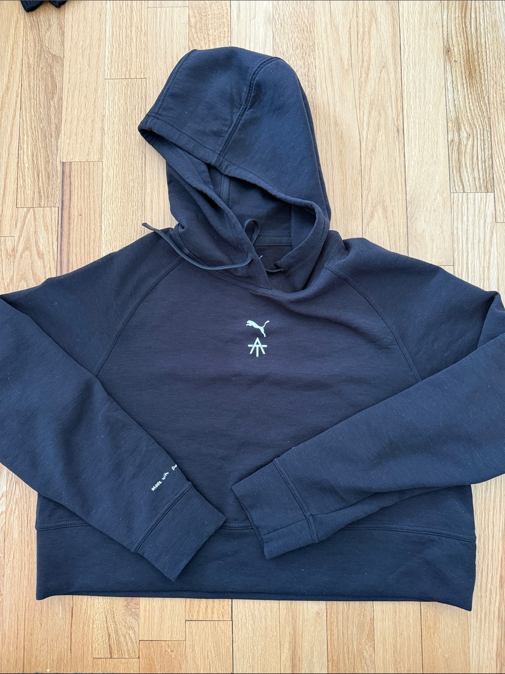 Puma Alexander Toussaint Black pullover Hoodie with Small Center Logo